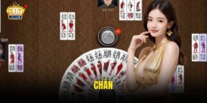 Chắn