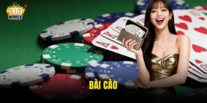 Bài Cào